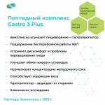 ГАСТРО 3 Плюс | GASTRO 3 Plus Vitual