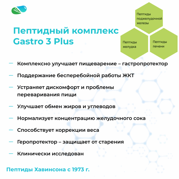 ГАСТРО 3 Плюс | GASTRO 3 Plus Vitual
