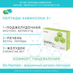 ГАСТРО 3 Плюс | GASTRO 3 Plus Vitual